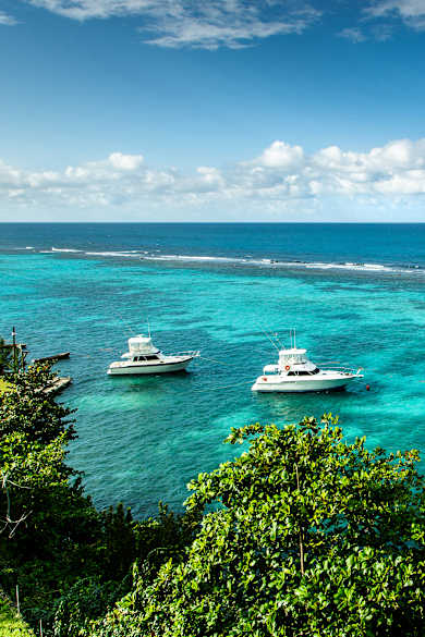 Harbor Ocho Rios Jamaica