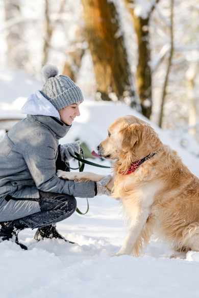 Frau und Hund auf einem Winterspaziergang mit viel Schnee © Shutterstock