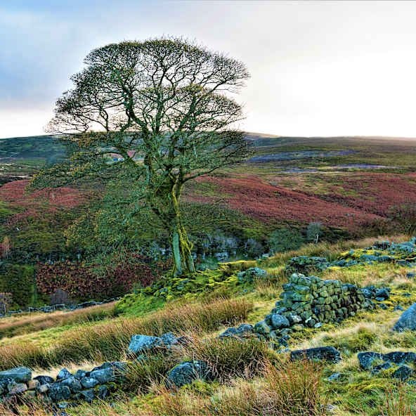 Moorlandschaft von High Withens, in Haworth, West Yorkshire, England.