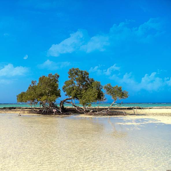 Scenic View Of Beach