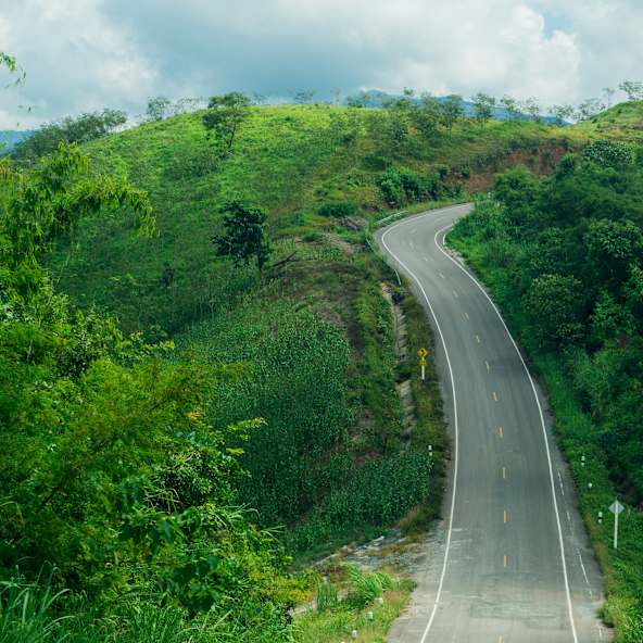Autostraße die durch eine sehr begrünte Gegend verläuft © Shutterstock | Pipatpongchai