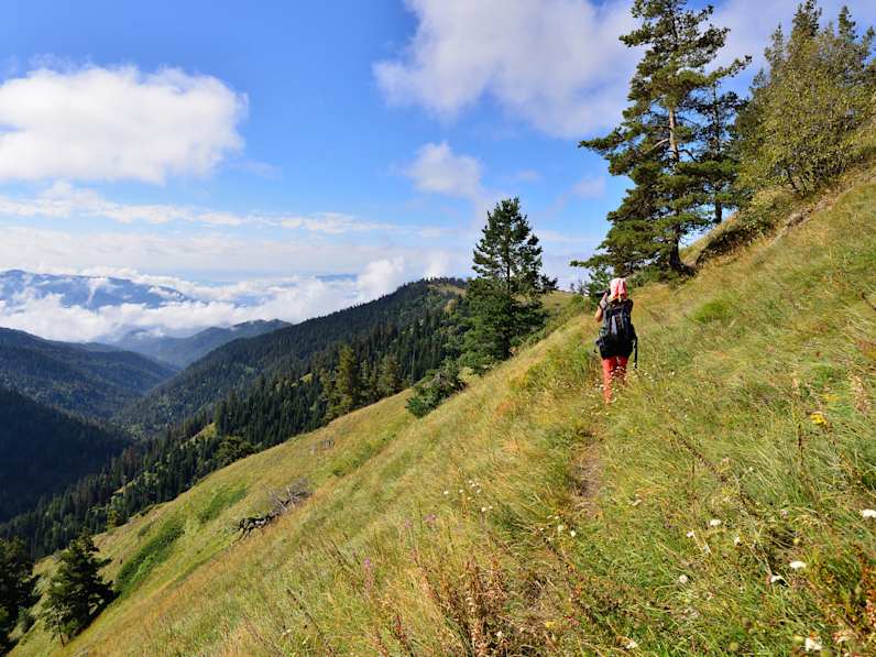 Borjomi-Kharagauli-Nationalpark, Georgien © rchphoto/iStock / Getty Images Plus via Getty Images