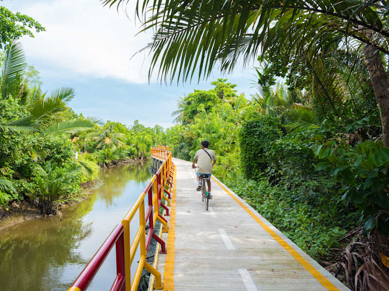 Rückenansicht einer Person, die mit dem Fahrrad fährt. Er fährt auf einer engen Straße, die über eine grüne Lagunen-Landschaft führt.