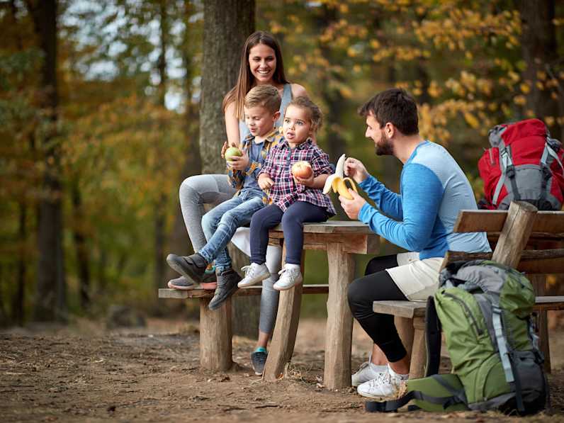Familienpicknick im Wald © luckybusiness - stock.adobe.com
