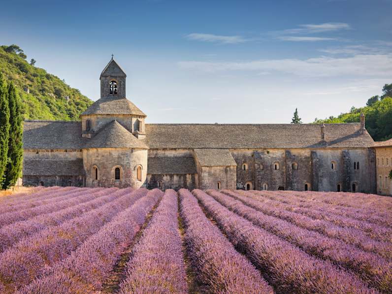 Lavendelfeld im Sommer in Provence, Frankreich © Mlenny via Getty Images