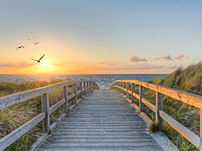 Ein langer Holzweg der Richtung Meer führt. Die Sonne geht unter und die Vögel fliegen über das Meer © Marco2811 - stock.adobe.com