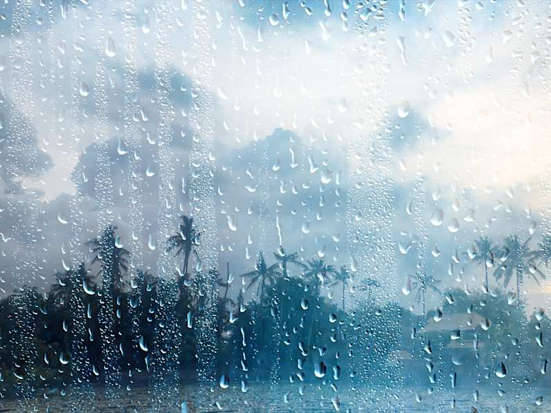 Fensterscheibe voller Regentropfen mit Regenwald im Hintergrund.