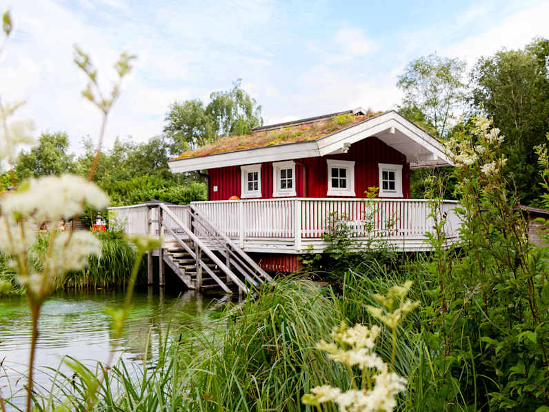 Rote skandinavisch anmutende Saunahütte mit Gründach und Holzterrasse, auf Stelzen über einem natürlichen Teich gelegen, umgeben von grüner Vegetation in der Friesentherme Emden.