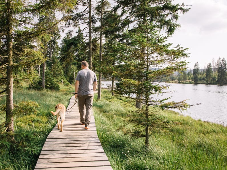Spaziergang mit Hund ©Elena Medoks/Moment via Getty Images