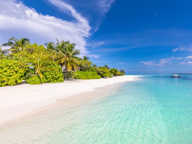Ein tropischer Strand mit Palmen und türkisfarbenem Wasser auf den Malediven.