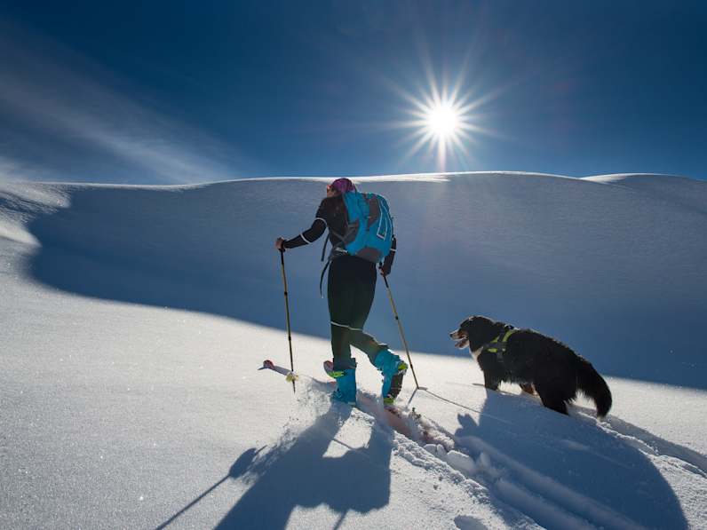 Ein Hund läuft neben einem Mann auf Skiern.