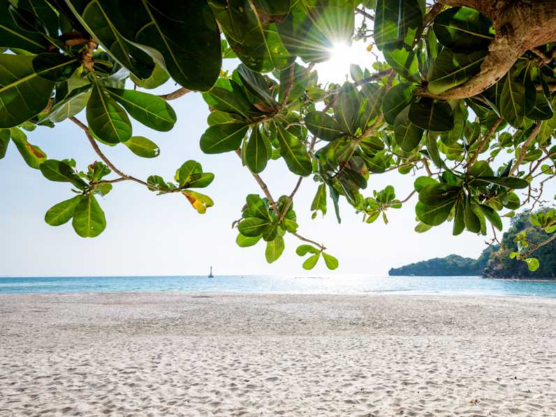 Blick durch die Blätter eines Katappenbaumes auf eine Bucht und Sandstrand