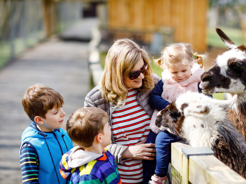 Mutter und Kinder im Streichelzoo © Irina Schmidt – stock.adobe.com