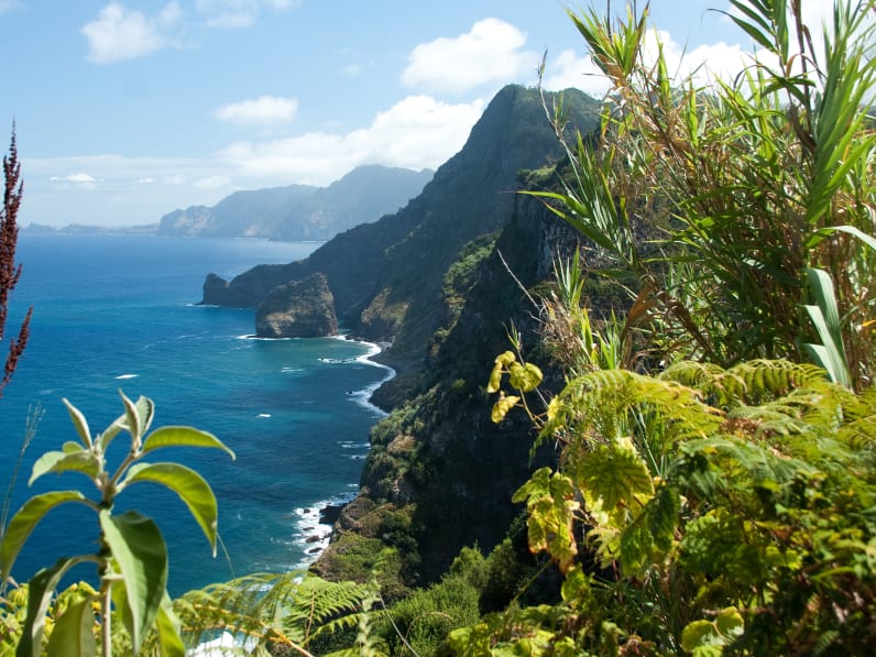 Santana, Madeira, Nordostküste © Adobetsock/Rulan