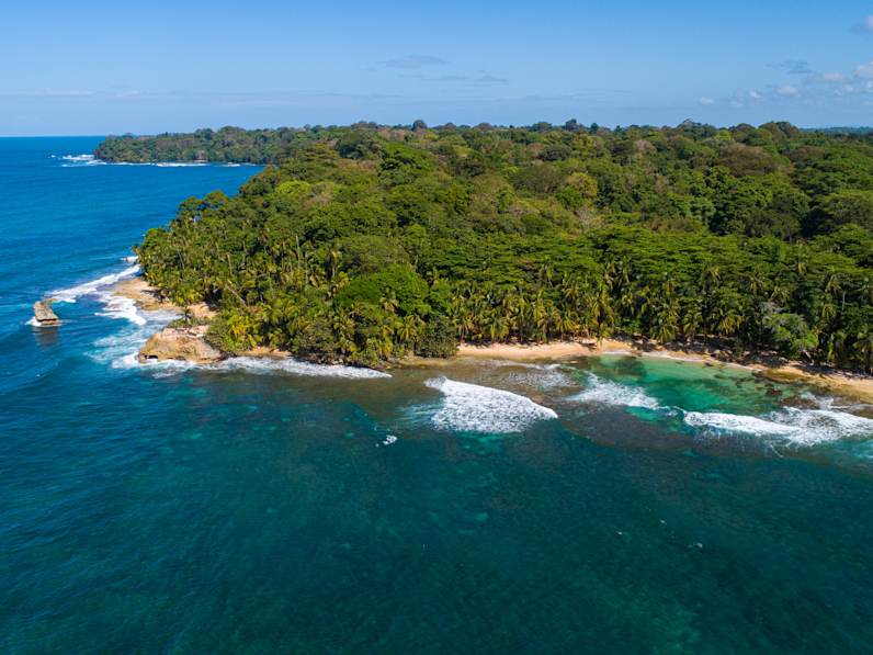 Blick auf ein waldiges Gebiet an einem Gewässer