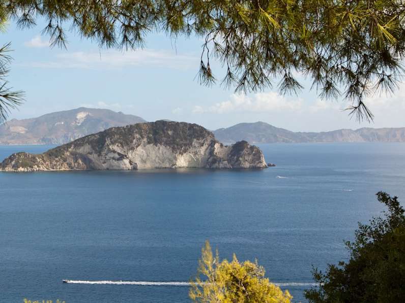 Marathonisi liegt wenige Kilometer vor der Küste von Zakynthos. © iStock via Getty/MDoubrava