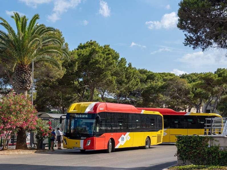 TIB-Busse fahren regelmäßig über die ganze Insel. © Neme Jimenez/iStock