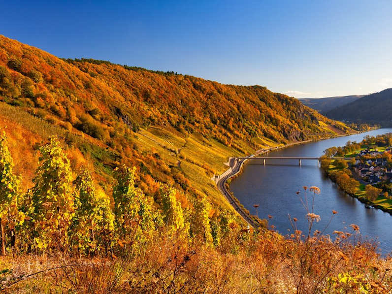 Die Mosel ist eine von Deutschlands beliebtesten Reiseregionen im Herbst. © Bas Meelker/Shutterstock.com