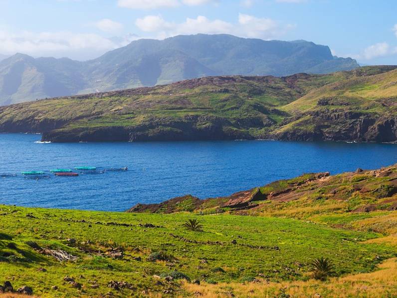 Auch in der kalten Jahreszeit präsentiert sich die portugiesische Insel Madeira von ihrer besten Seite. © Nick Fox/Shutterstock. com