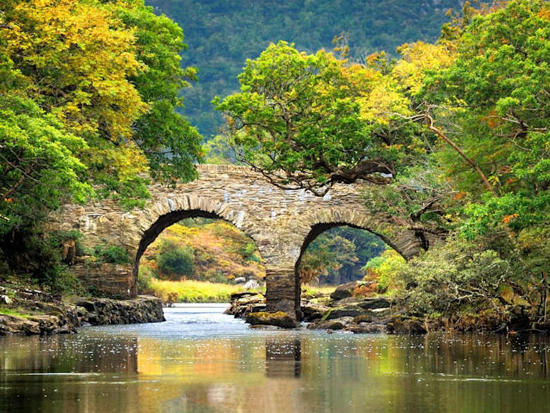 Die Wurzeln von Halloween sind unter anderem in Irland zu finden. © Jan Miko/Shutterstock.com