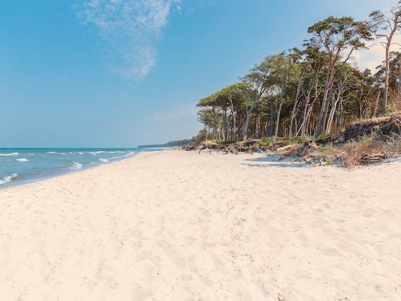 Weststrand Prerow, Fischland-Darß-Zingst © Adobestock/tobibambola