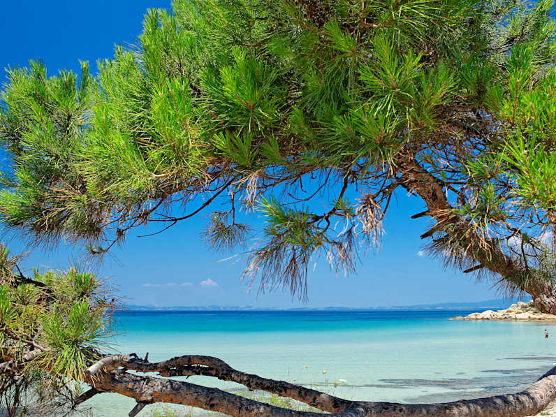 Kavourotripes auf Sithonia begeistert mit kristallklarem Wasser © Halkidiki Tourism Organization