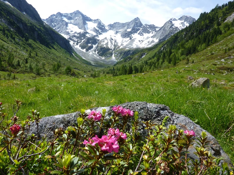 Bergblick Suedtirol, Italien.