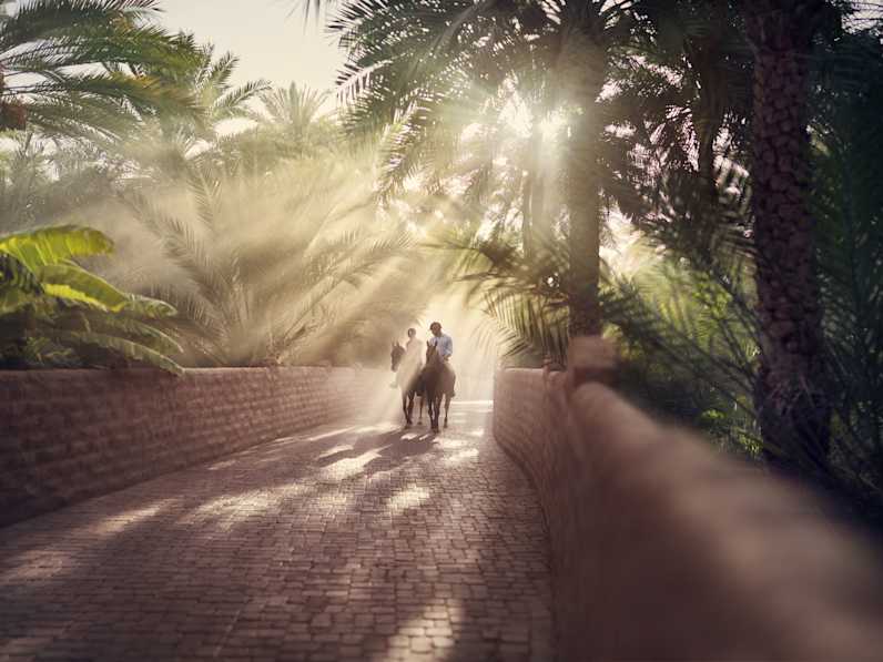 Ein Paar reitet zwischen Palmen auf einem gepflasterten Weg, © Department of Culture and Tourism, Abu Dhabi