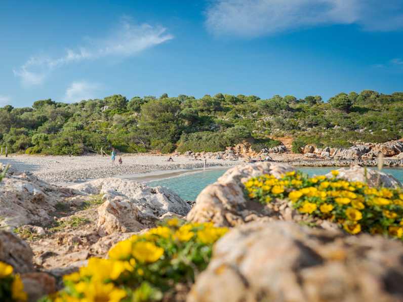 Der Strand von Cala Varques, Mallorca, Spanien © Dietmar Denger