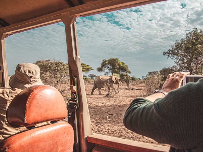 Elefanten auf Safari, Südafrika