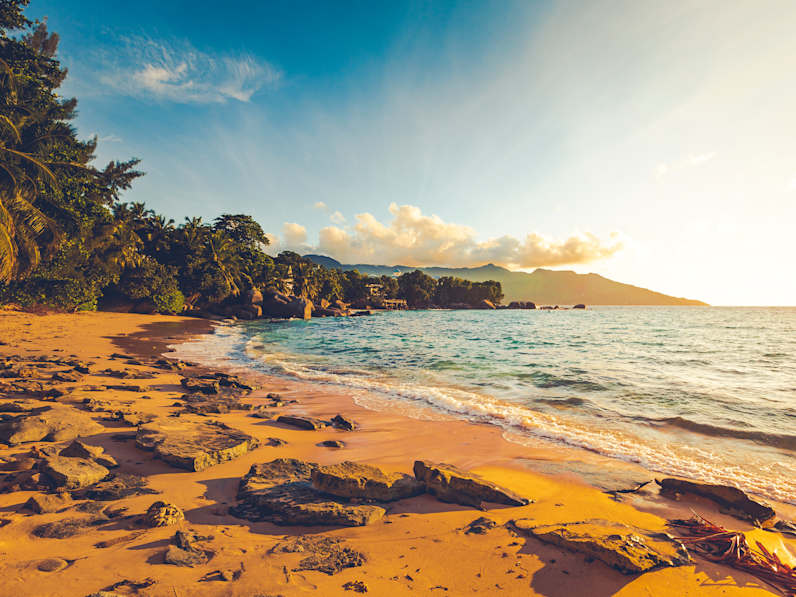 Ein Strand umgeben von Palmen mit Bergen im Hintergrund