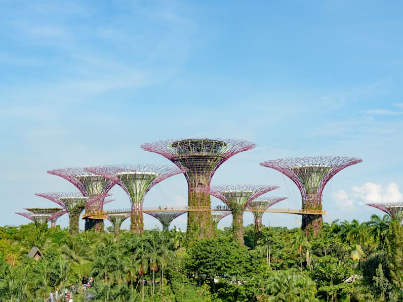 Blumenförmige Gebäude umgeben von Palmen