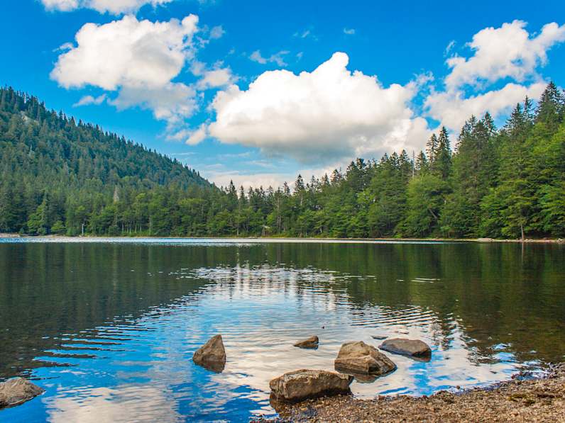 Feldsee, Feldberg (Schwarzwald), Baden Württemberg