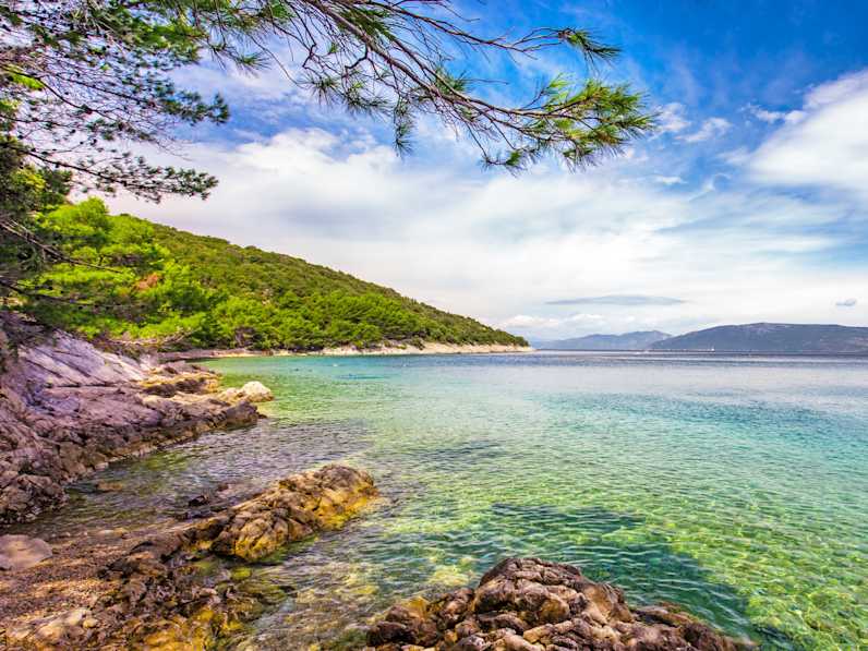 stone beach scenery with pine tree in Croatia, Istria, Europe
