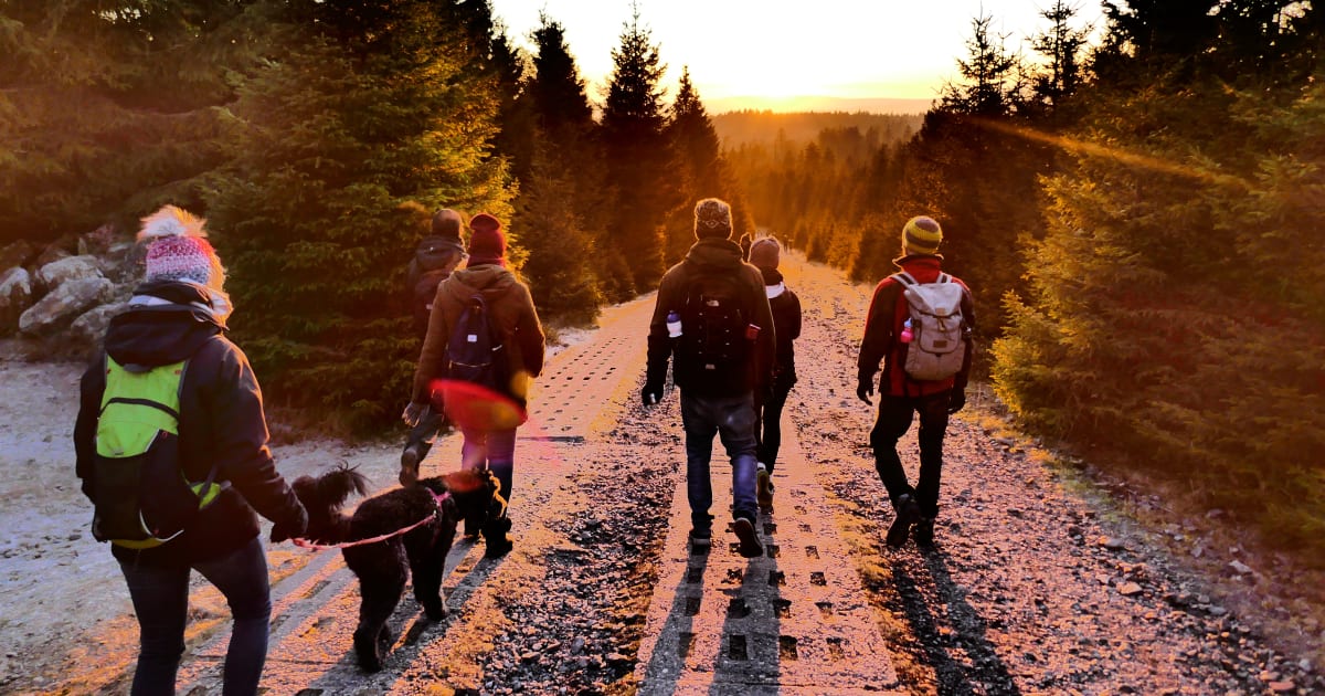 Die 10 schönsten Ausflugsziele für Familien im Harz