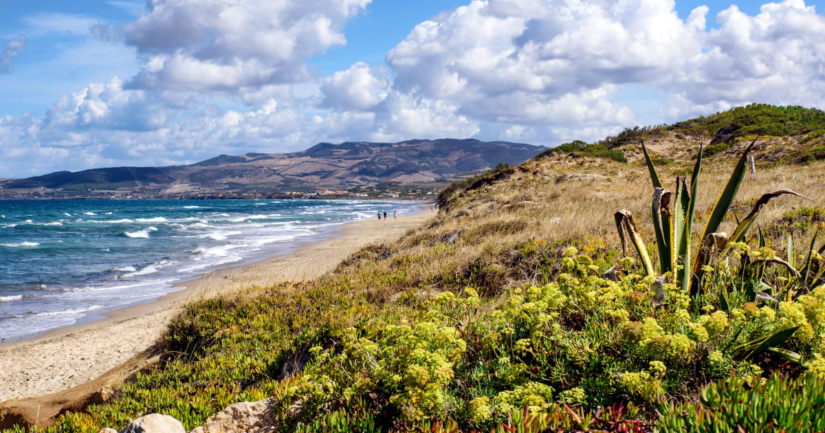 Badesi Urlaub 2024/2025 • Günstig buchen bei HolidayCheck