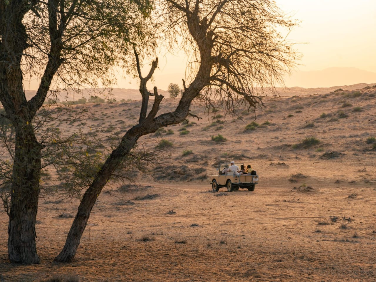 Wüstesafari, Ras Al Khaimah © Ras Al Khaimah Tourismus