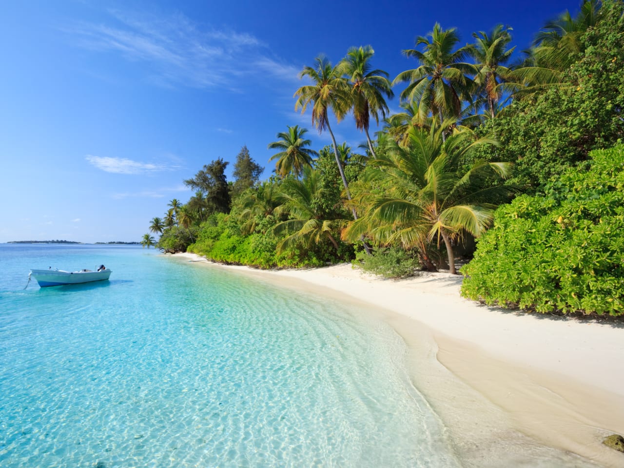 Insel Biyadhoo in Kaafu Atoll, Maldiven ©Matteo Colombo/Moment via Getty Images