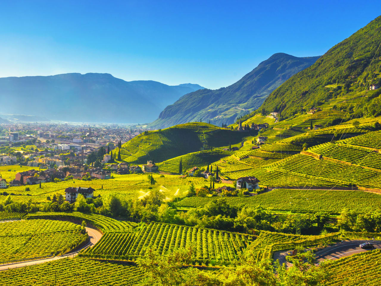 Blick auf die Weinberge in Santa Maddalena Bozen © iStock.com/StevanZZ