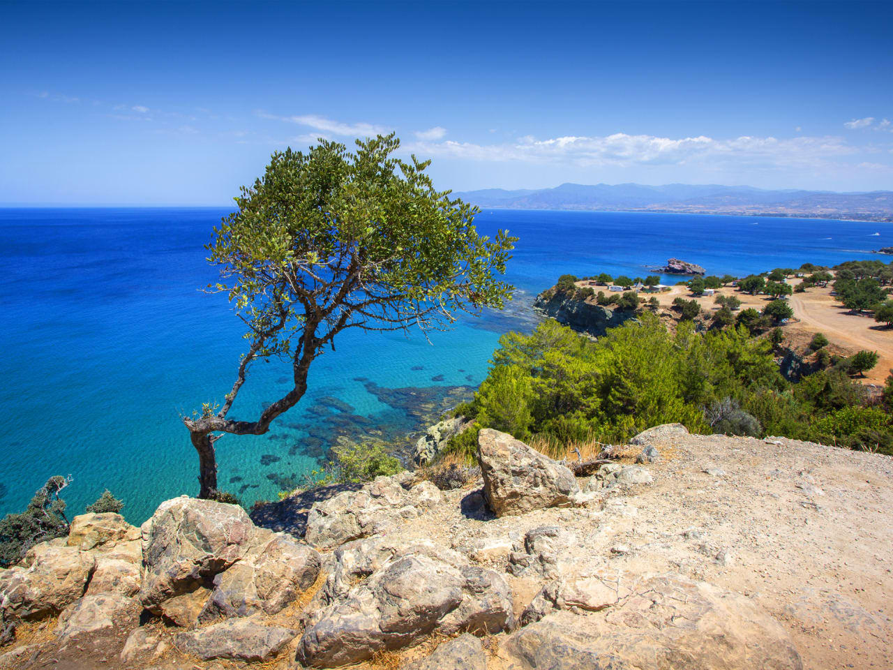 Blick auf einsamen Baum und Meer auf der Halbinsel Akamas, Zypern © iStock.com/alenkadr