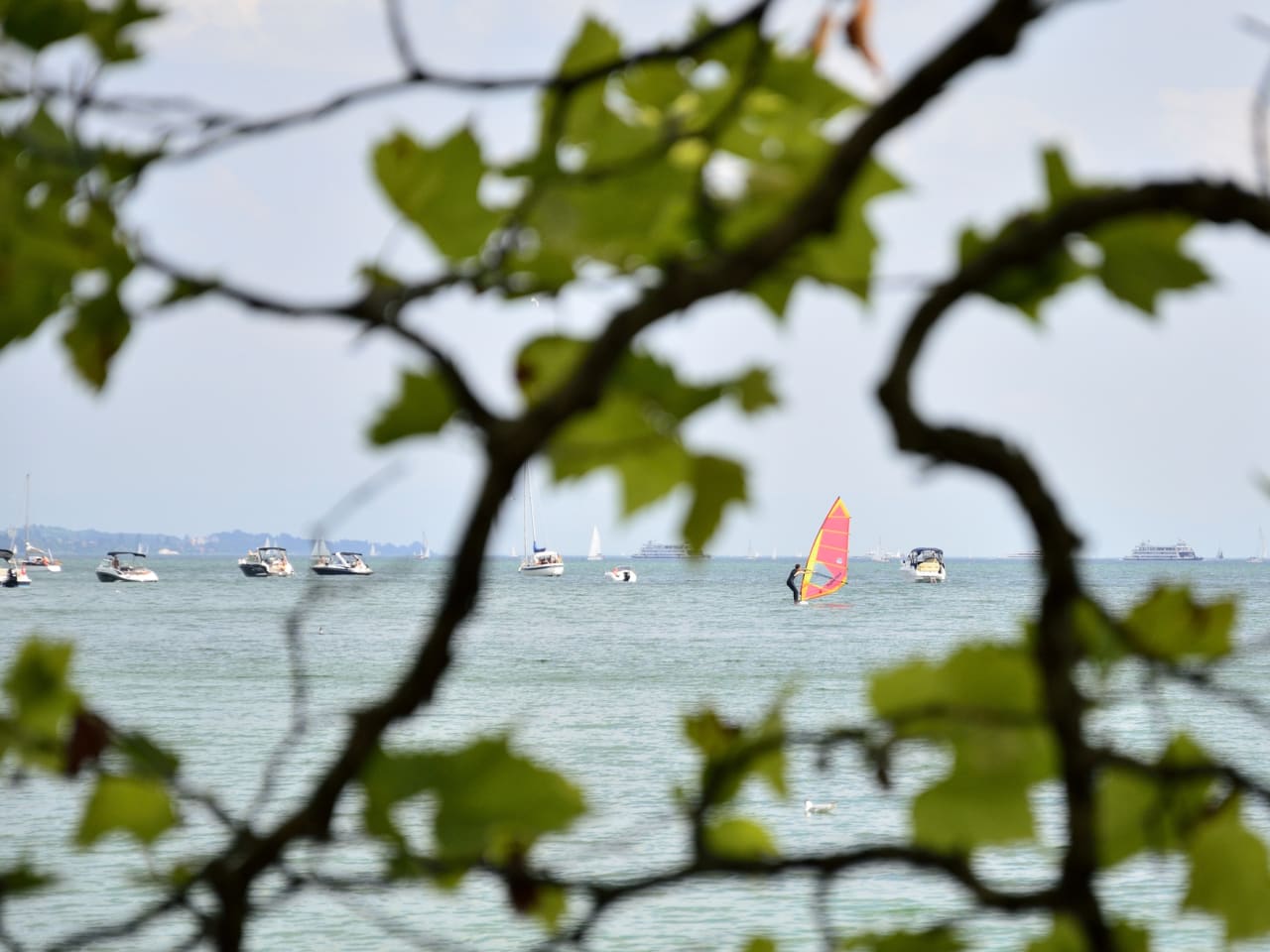 Blick durch Baum auf Windsurfer zwischen Booten auf dem Bodensee © iStock.com/cwzahner