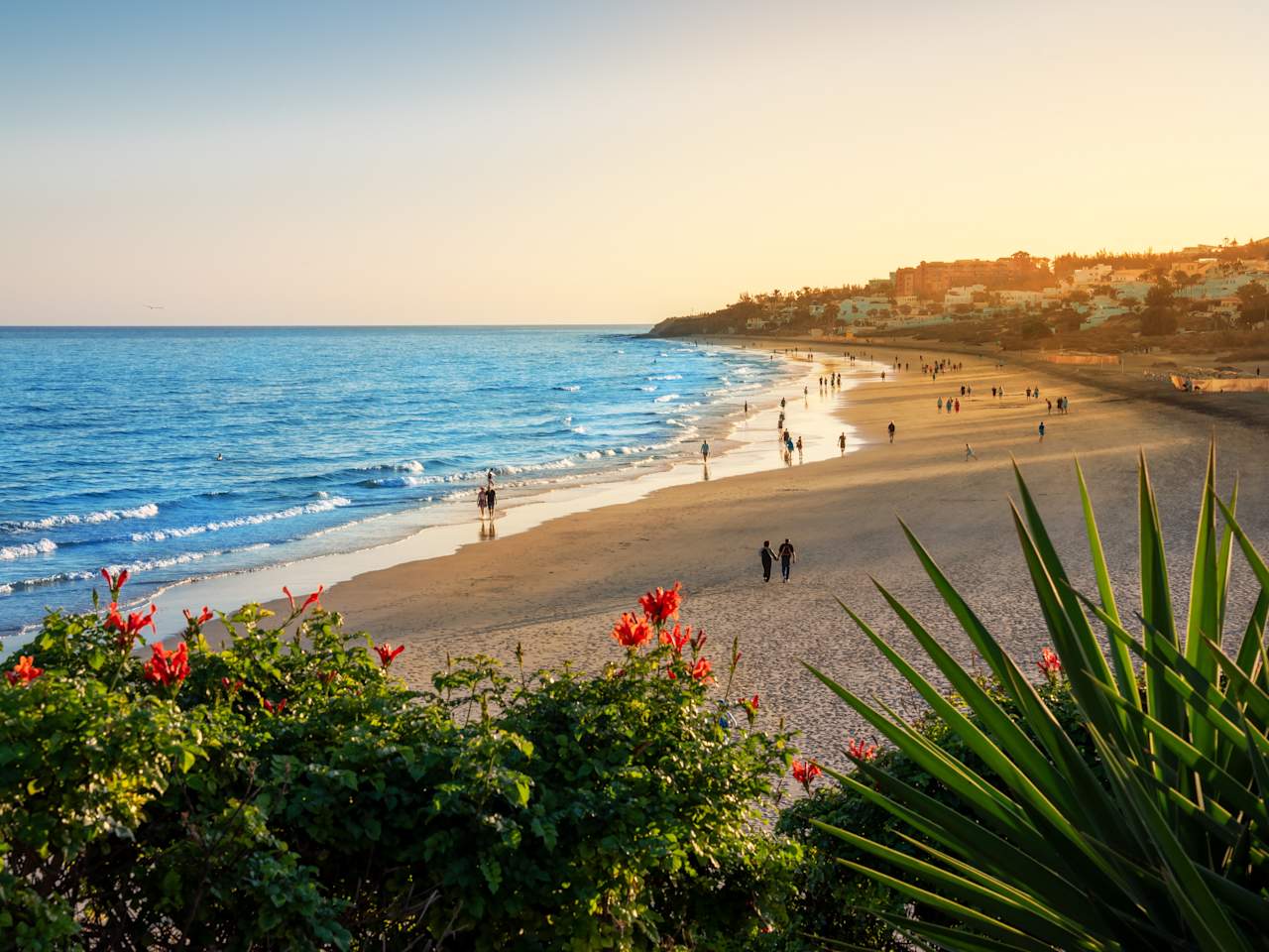 Ausblick auf Strand und Meer an der Costa Calma auf Fuerteventura
