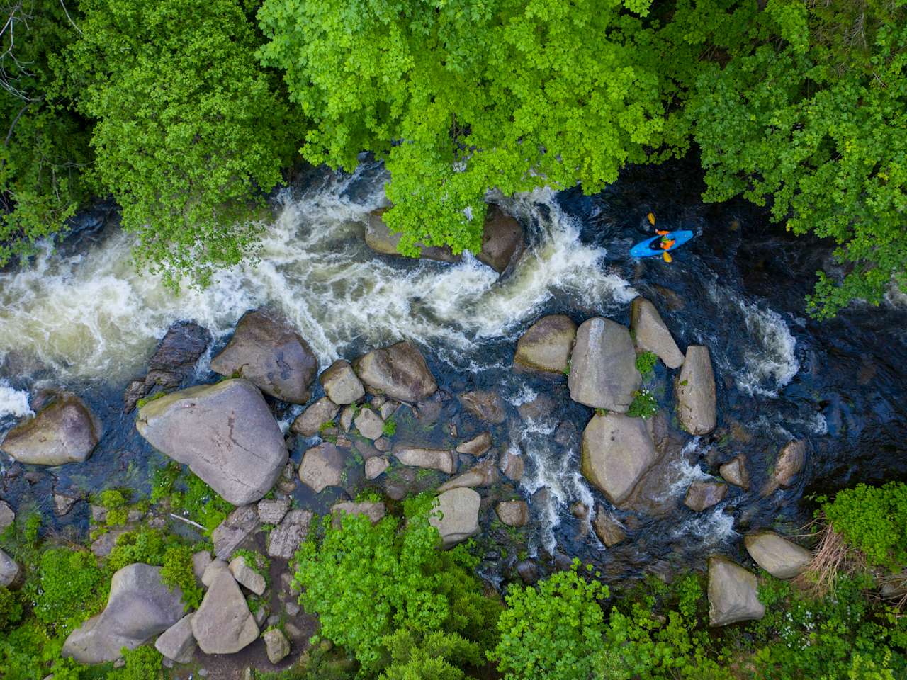 Ein Kajakfahrer navigiert durch die Stromschnellen der Oker, umgeben von dichtem Grün und massiven Felsen.