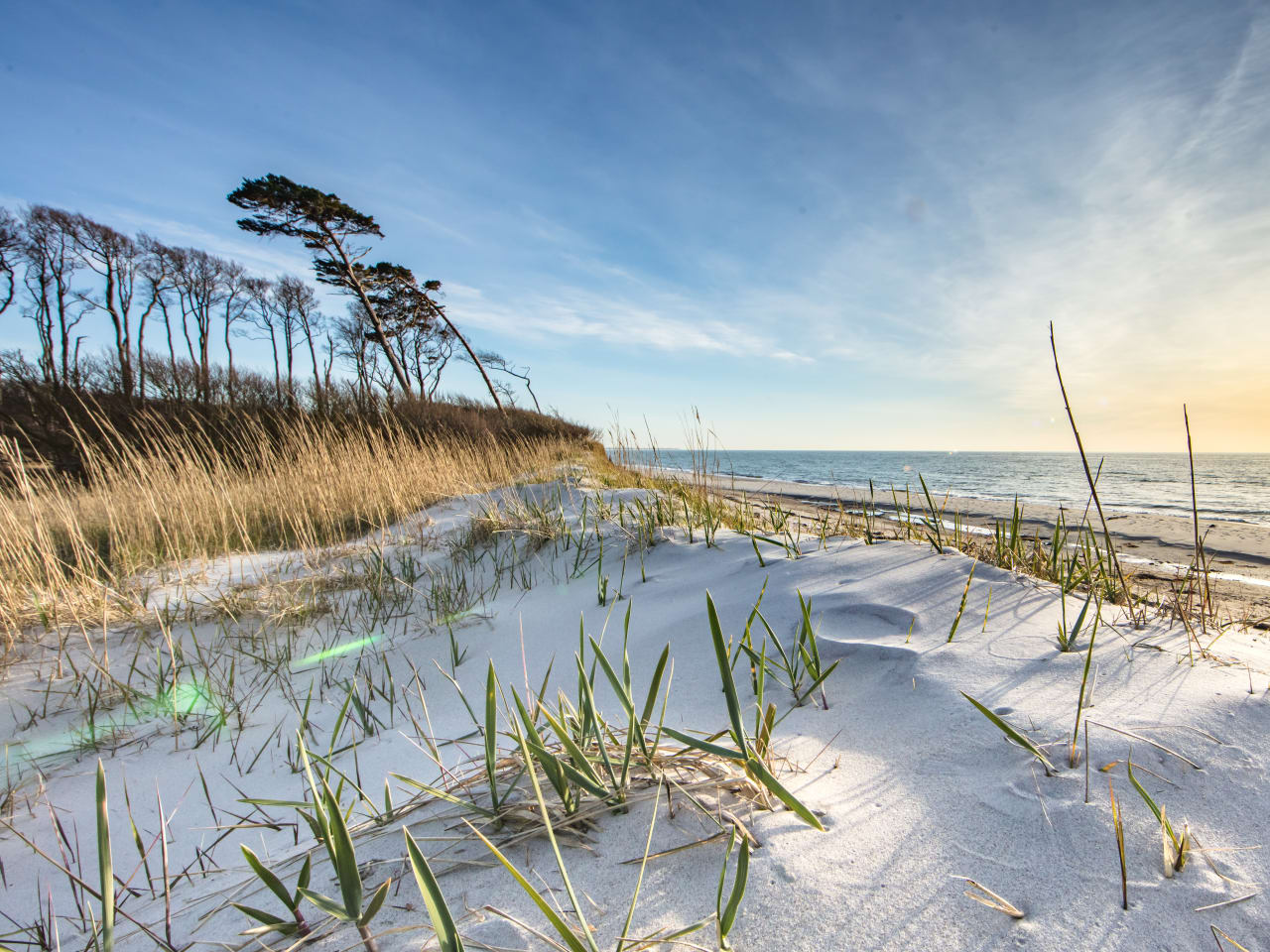 Dünen auf Usedom © haiderose - stock.adobe.com