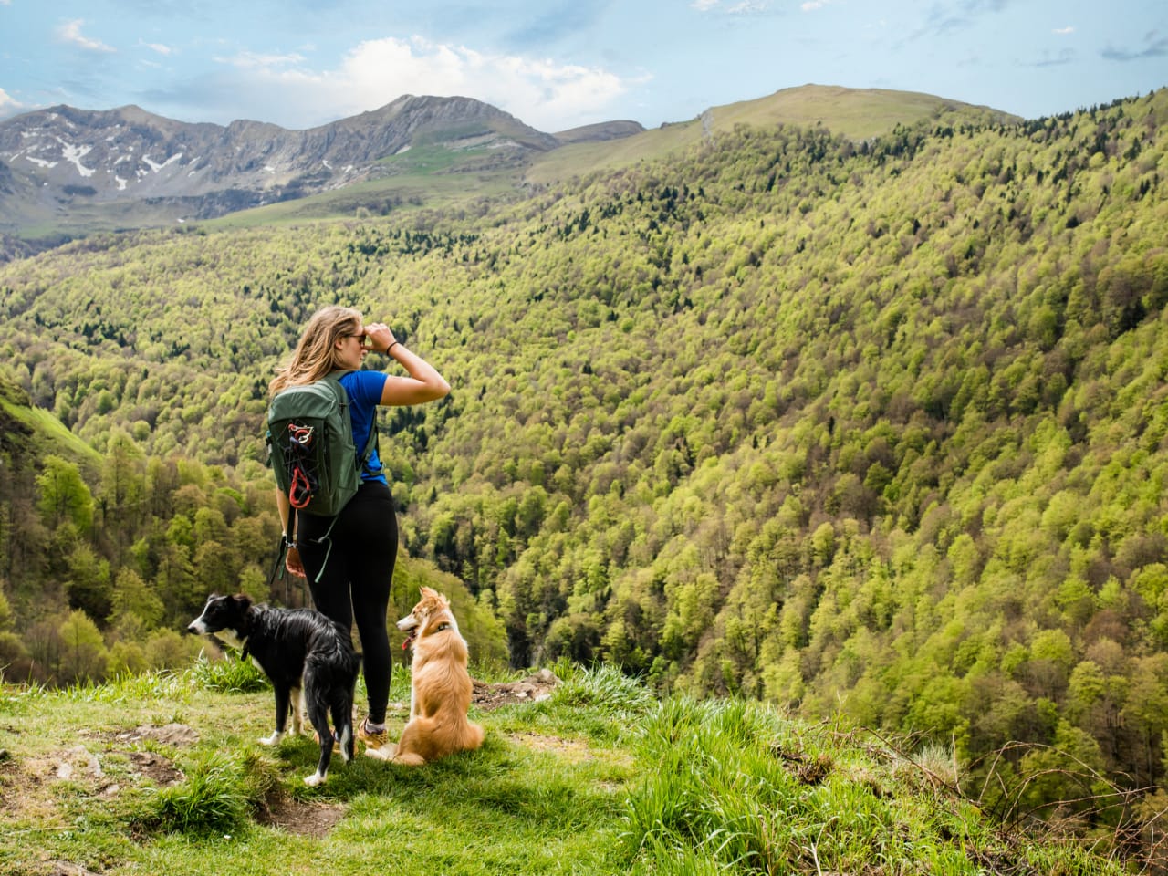 Frau wandert mit Hunden in Frankreich © DEBOVE SOPHIE/iStock / Getty Images Plus via Getty Images