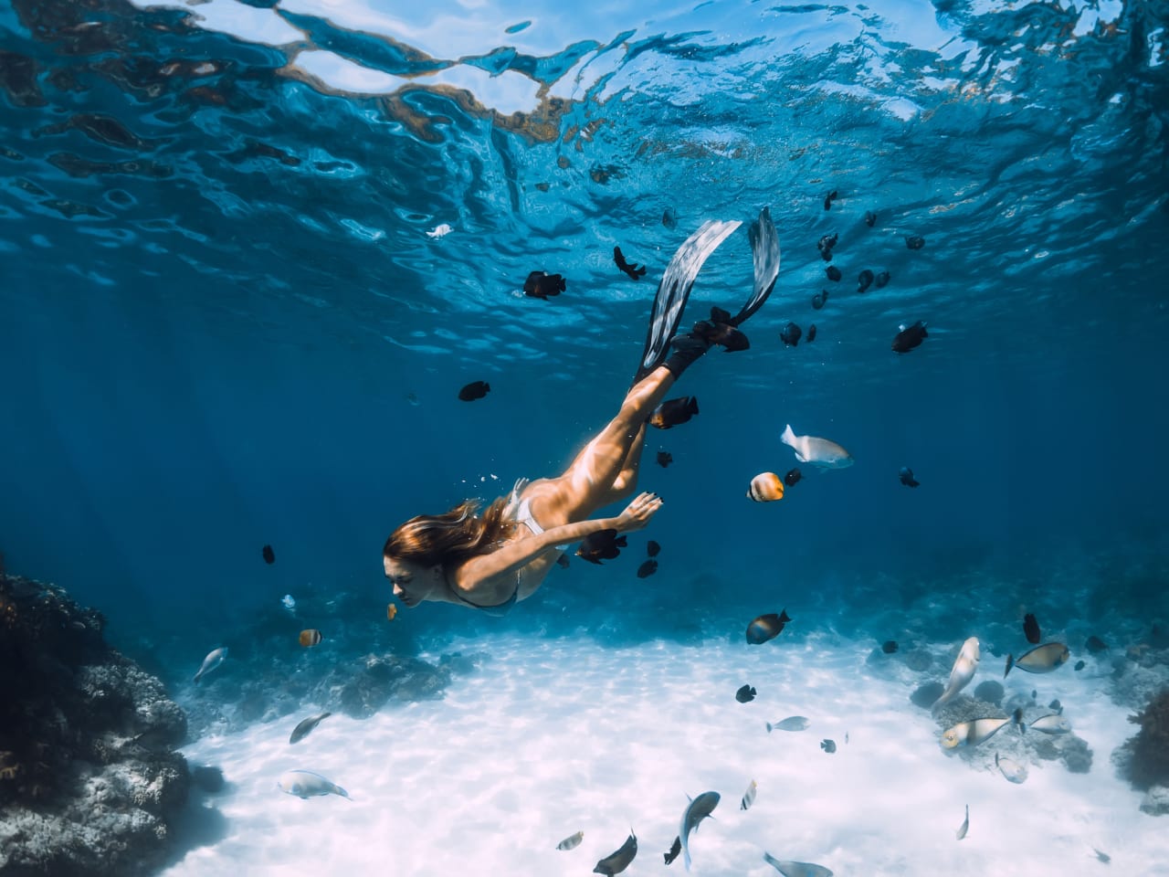 Freediver Dame mit Flossen gleitet unter Wasser mit Fischen © iStock.com/Nuture