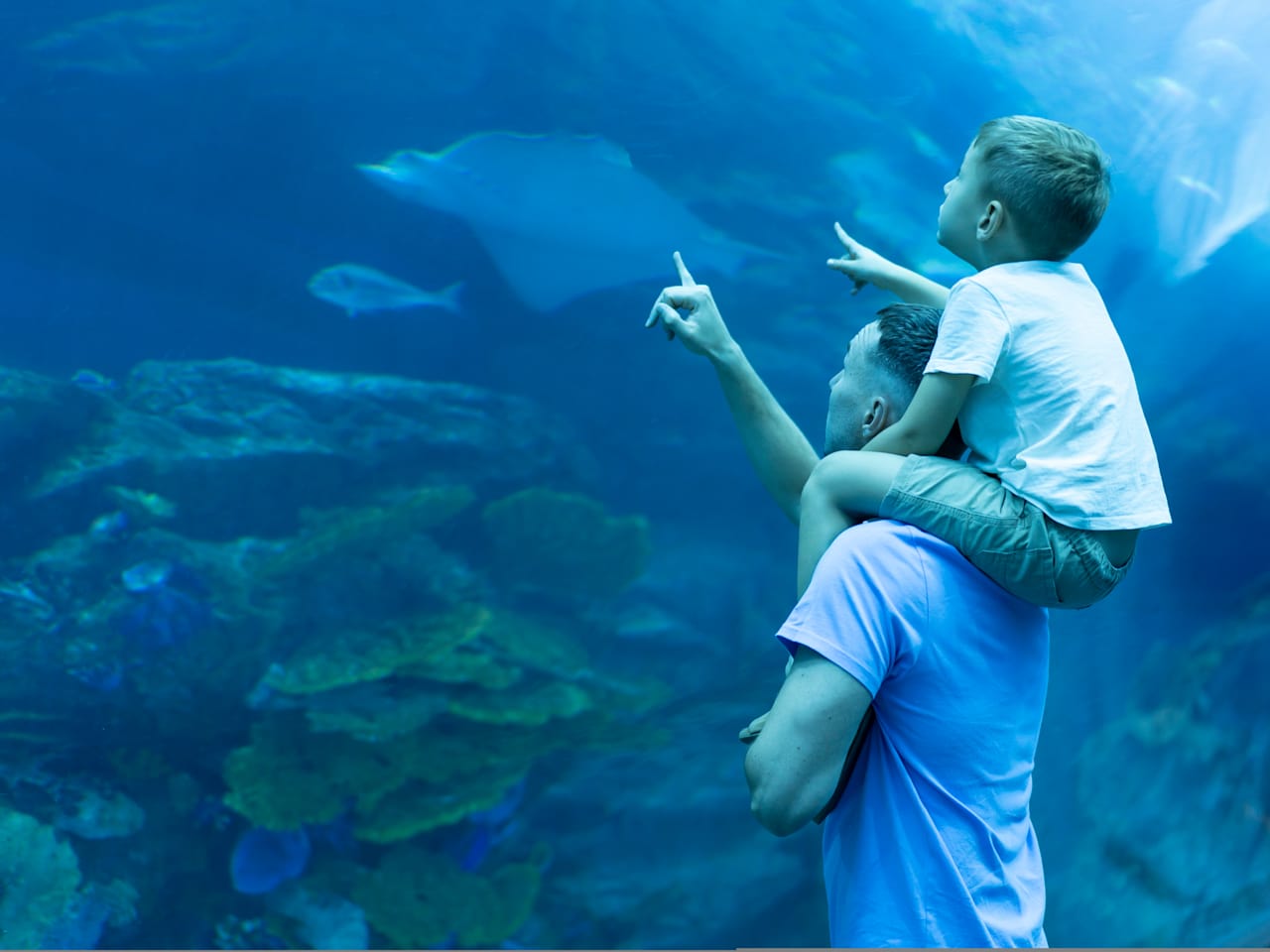 Gardaland Sea Life Aquarium ©Marina Tikhonova/iStock / Getty Images Plus via Getty Images