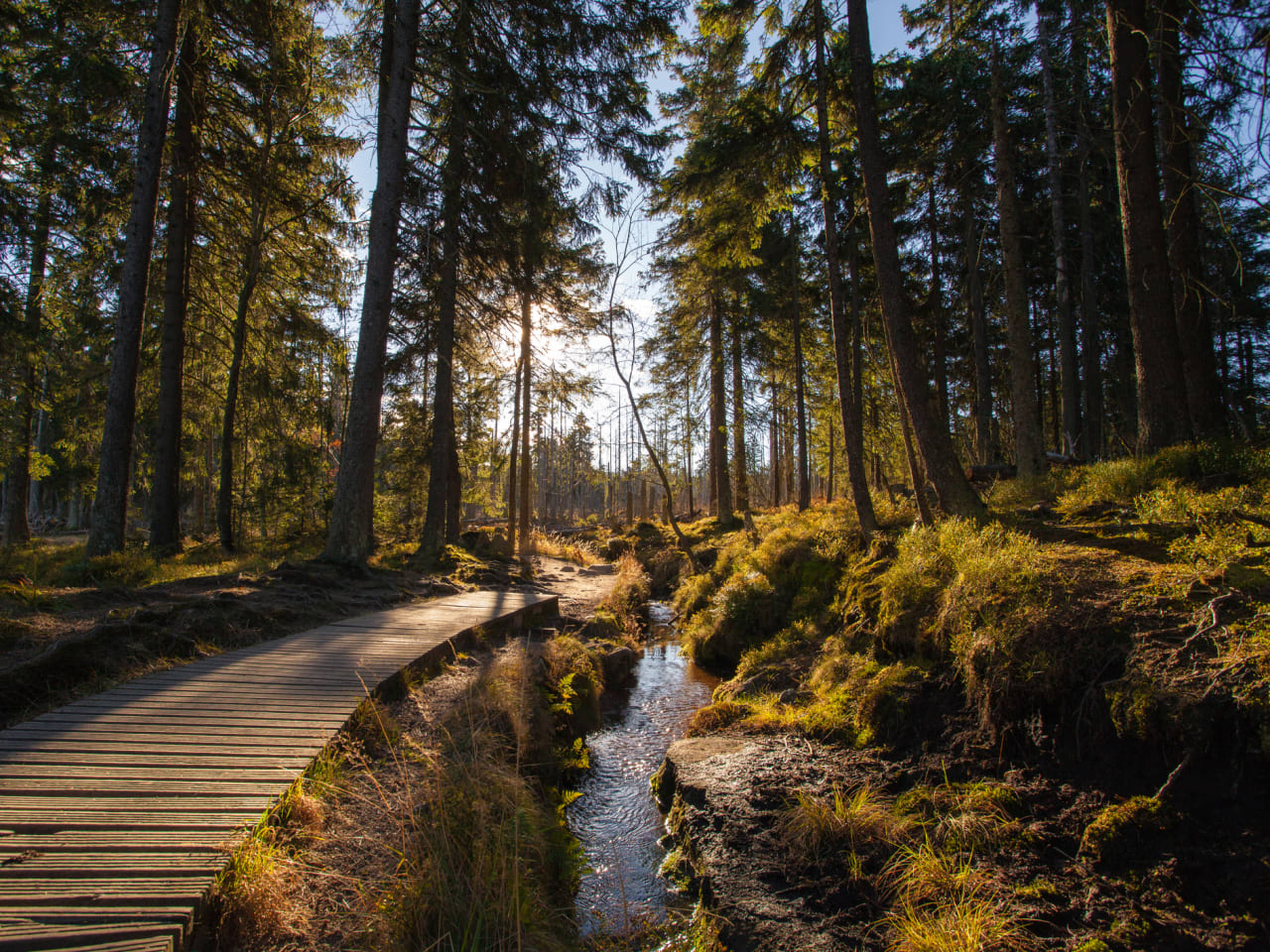 Verborgene Schätze: Deutsche Ausflugsziele abseits der Tourismuspfade
