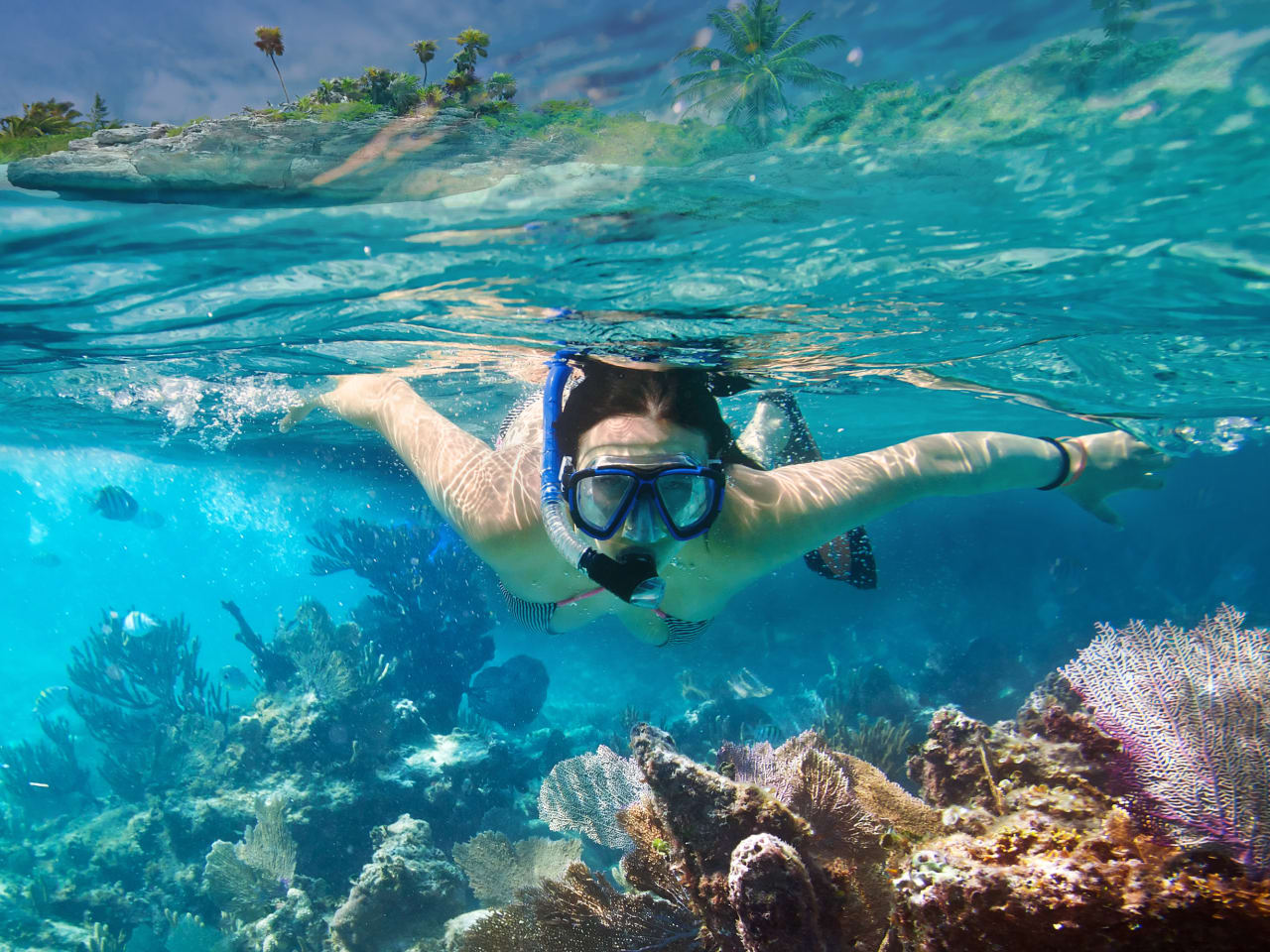 Junge Frau schnorchelt in Riff in Mexiko © iStock.com/Patryk_Kosmider