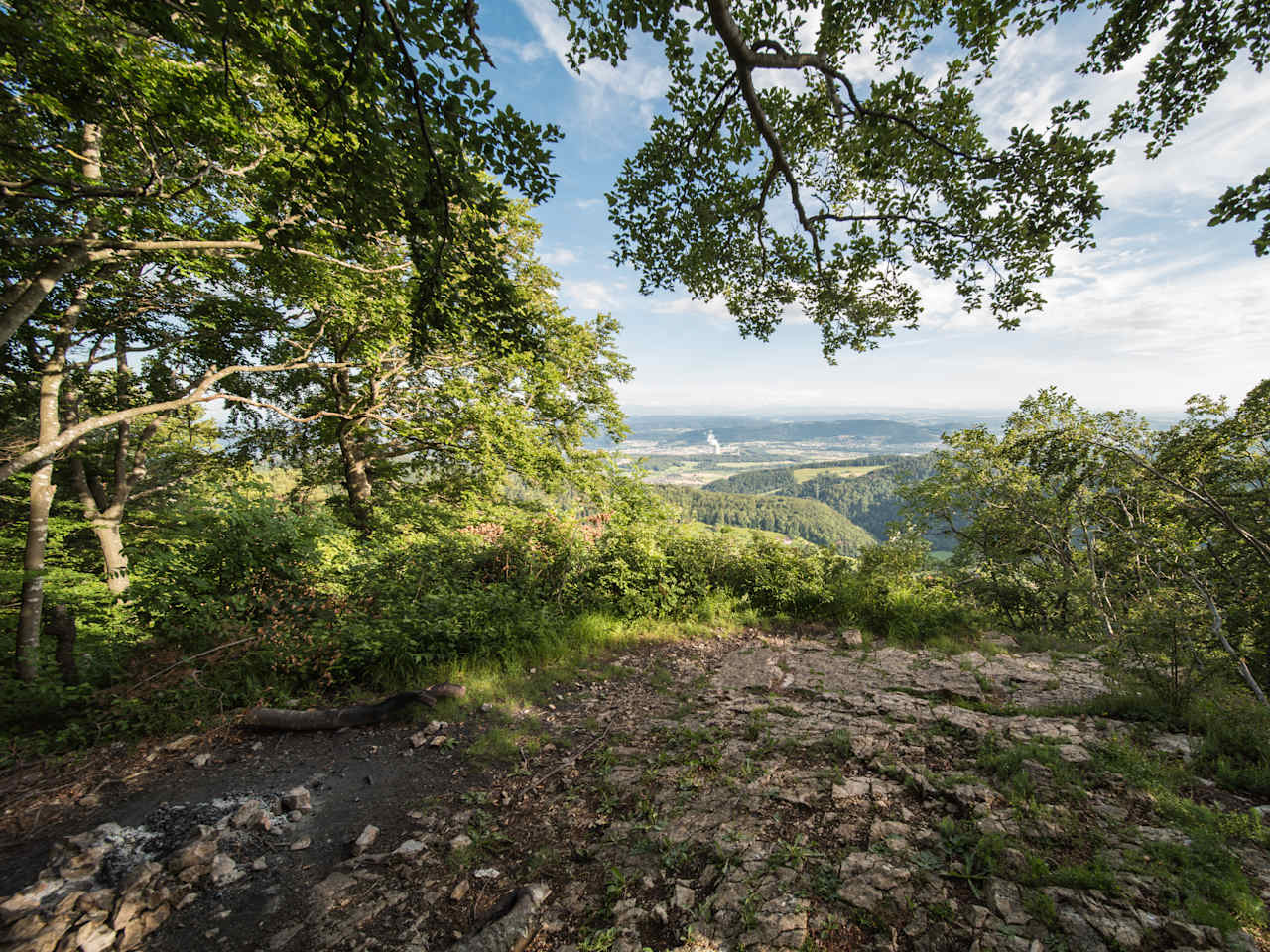 Jurapark Aargau© ipsimus/iStock / Getty Images Plus via Getty Images